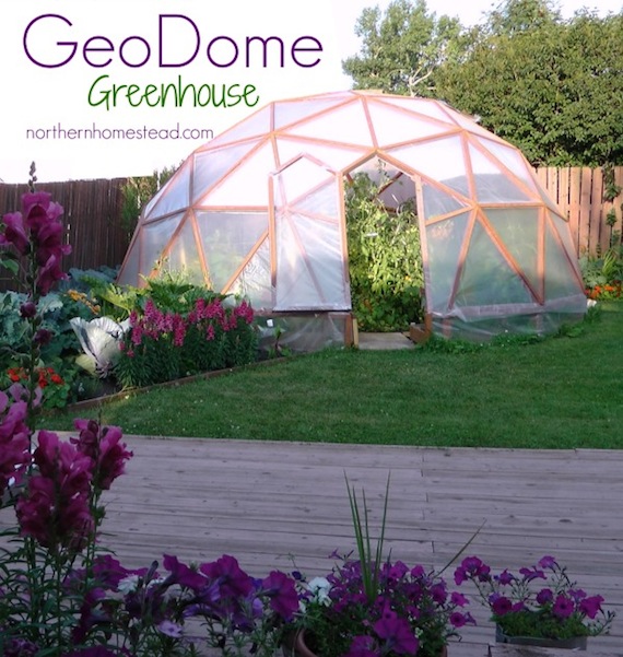 How to build a GeoDome Greenhouse - Northern Homestead