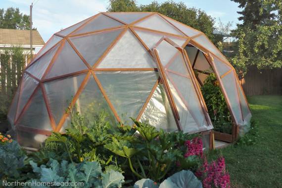 Geo-Dome
