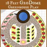 GeoDome Greenhouse Plant Arrangement